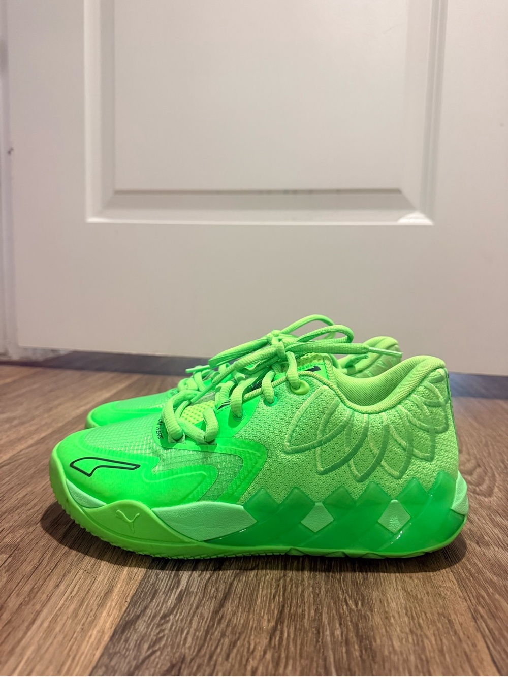 Puma Melos